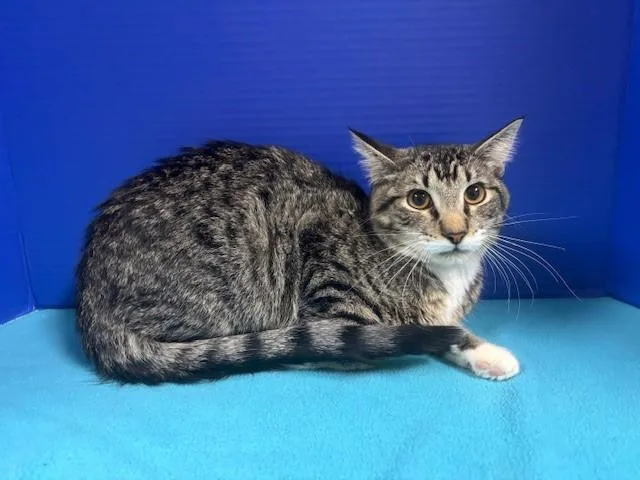 Pacific Ocean thumbnail 4