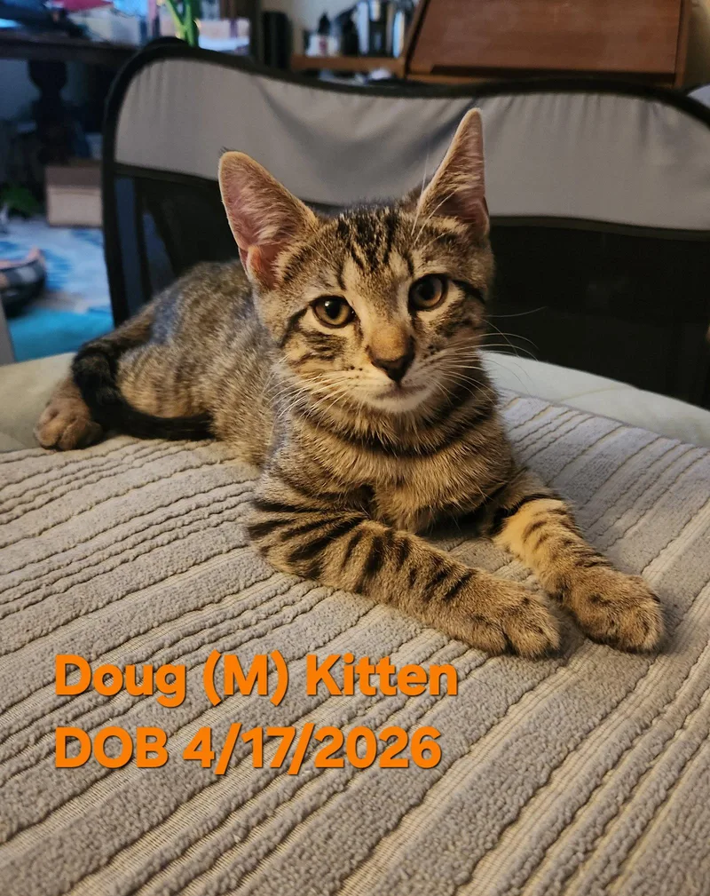 Doug thumbnail 3