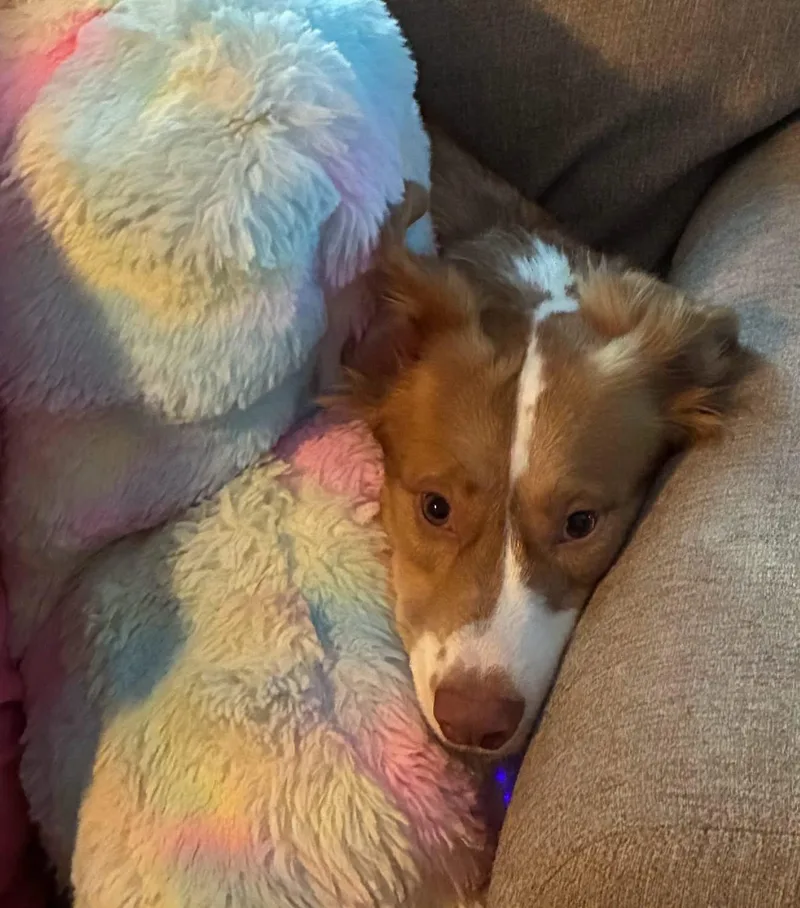 Murphy