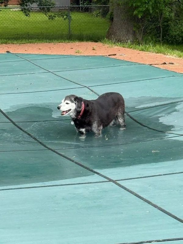 Mia Courtesy Listing thumbnail 3