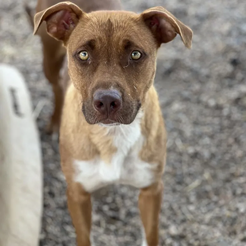 Talullah thumbnail 2