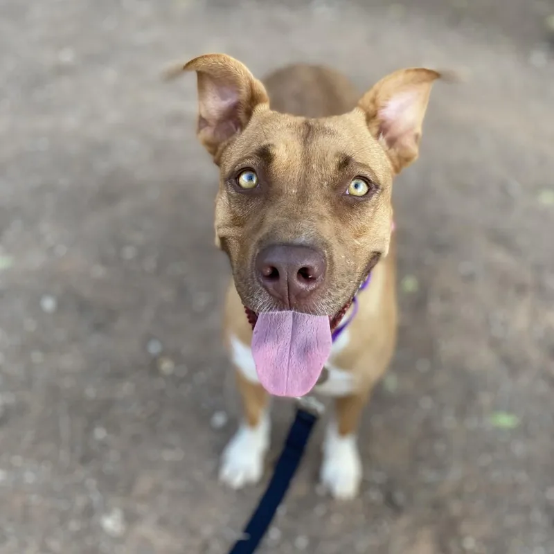 Talullah thumbnail 3