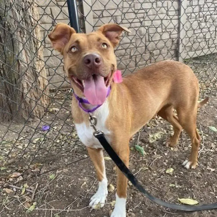 Talullah thumbnail 5