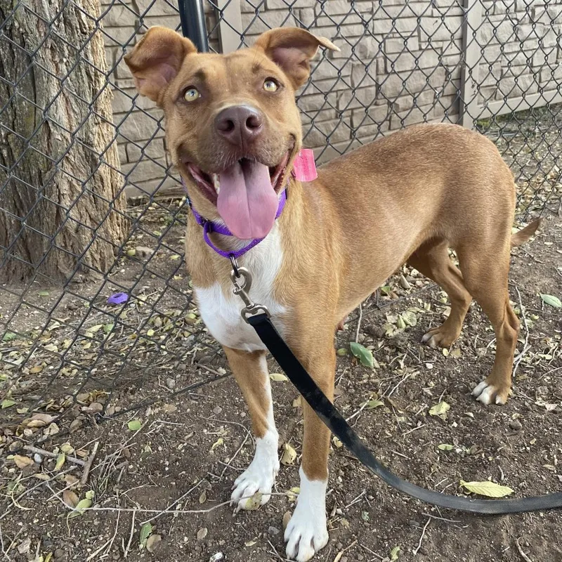 Talullah thumbnail 6