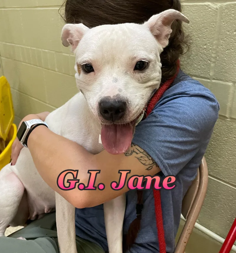 G.I. Jane thumbnail 2