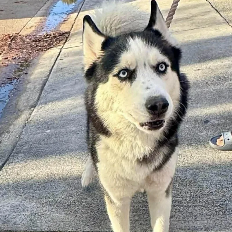 Luna