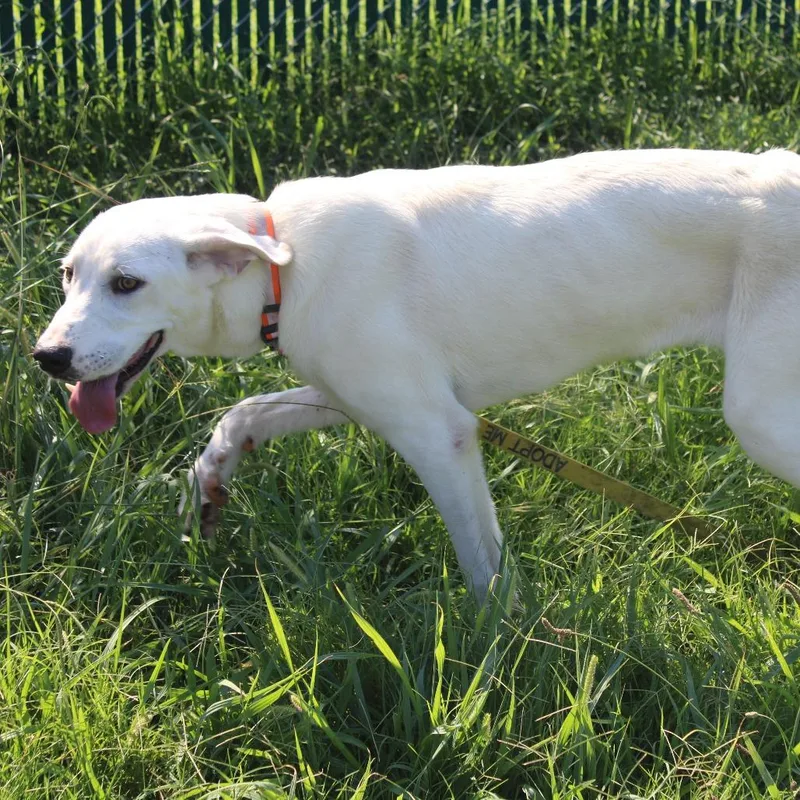 Kayda