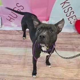 Precious thumbnail 5