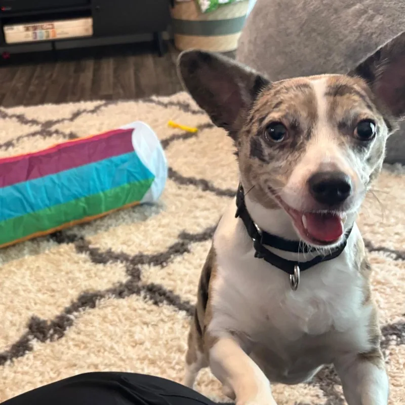 Sally thumbnail 3
