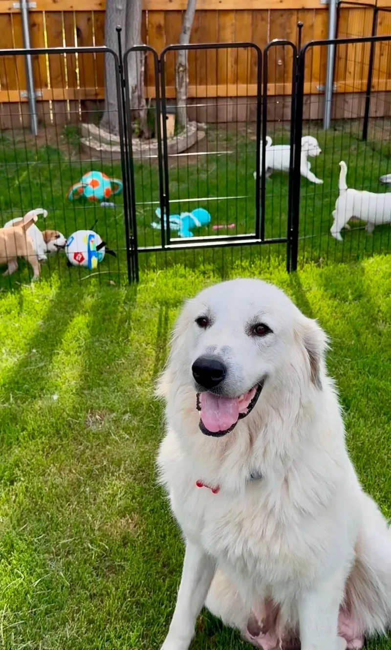 Carolyn Wiger thumbnail 2