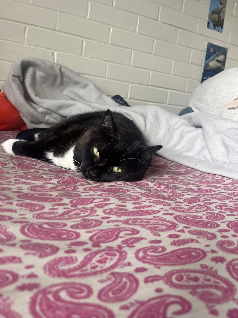 Treasure thumbnail 2