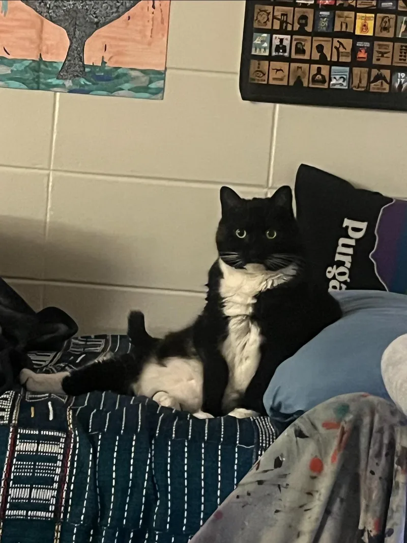 Treasure thumbnail 5