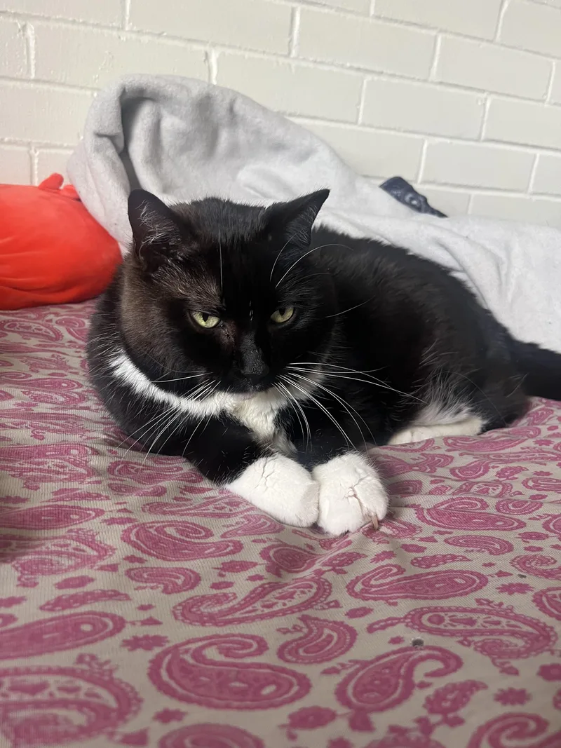 Treasure thumbnail 6