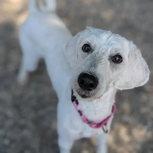Ruby Mae