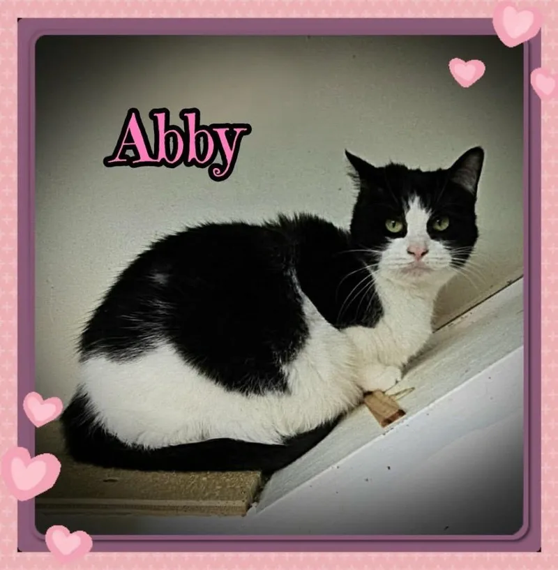 Abby