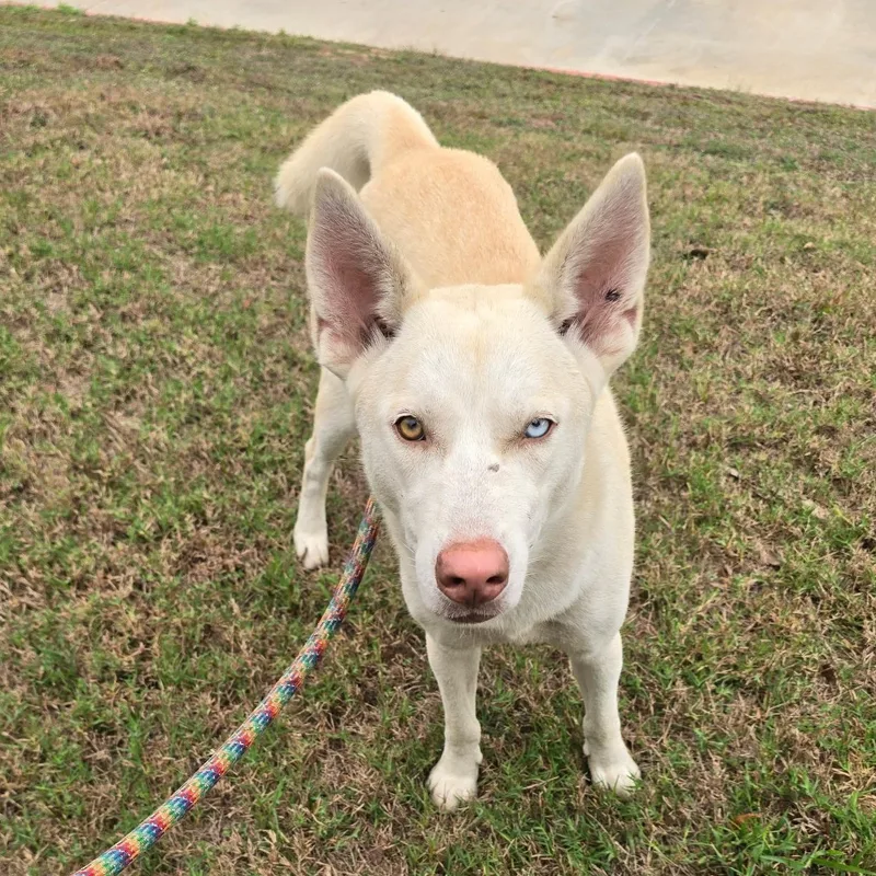 Sassy Girl thumbnail 4