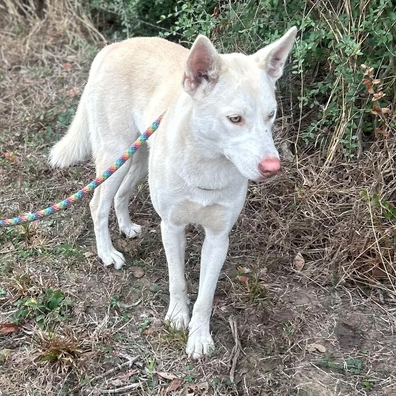 Sassy Girl thumbnail 5