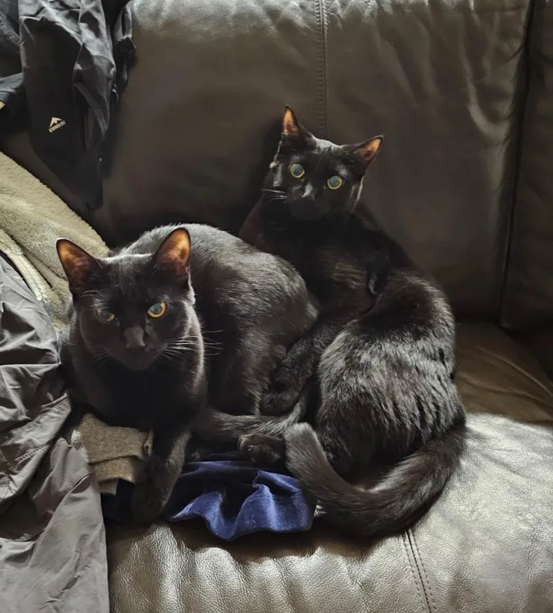 March  Tobie thumbnail 2