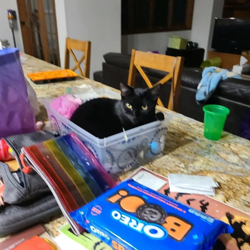 March  Tobie thumbnail 3