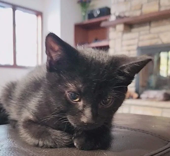 March  Tobie thumbnail 4