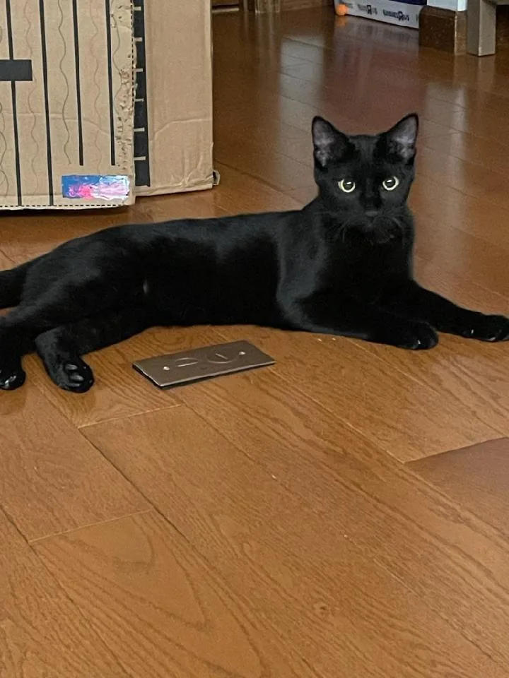 March  Tobie thumbnail 5