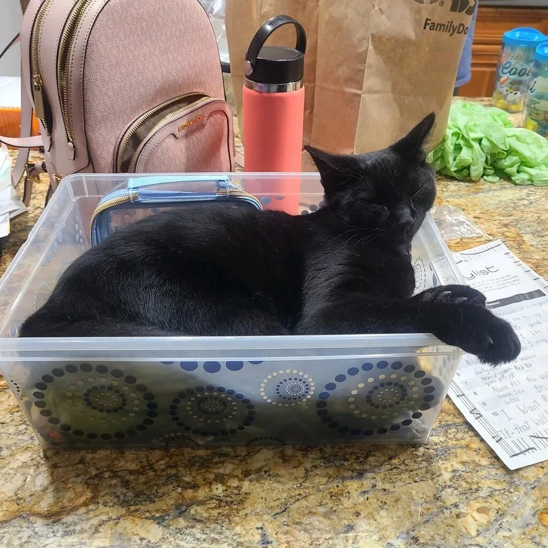 March  Tobie thumbnail 6