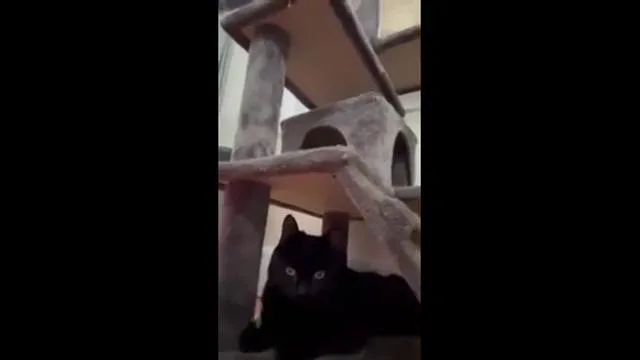 Winthrop thumbnail 2