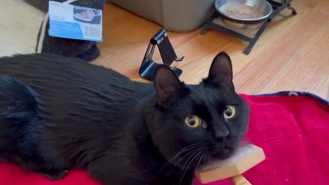 Winthrop thumbnail 3