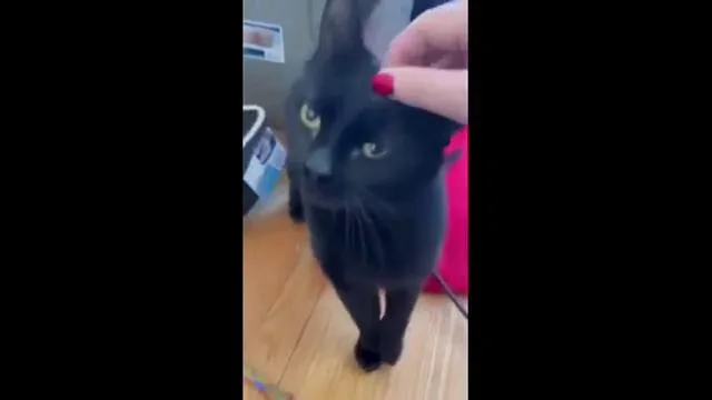 Winthrop thumbnail 5