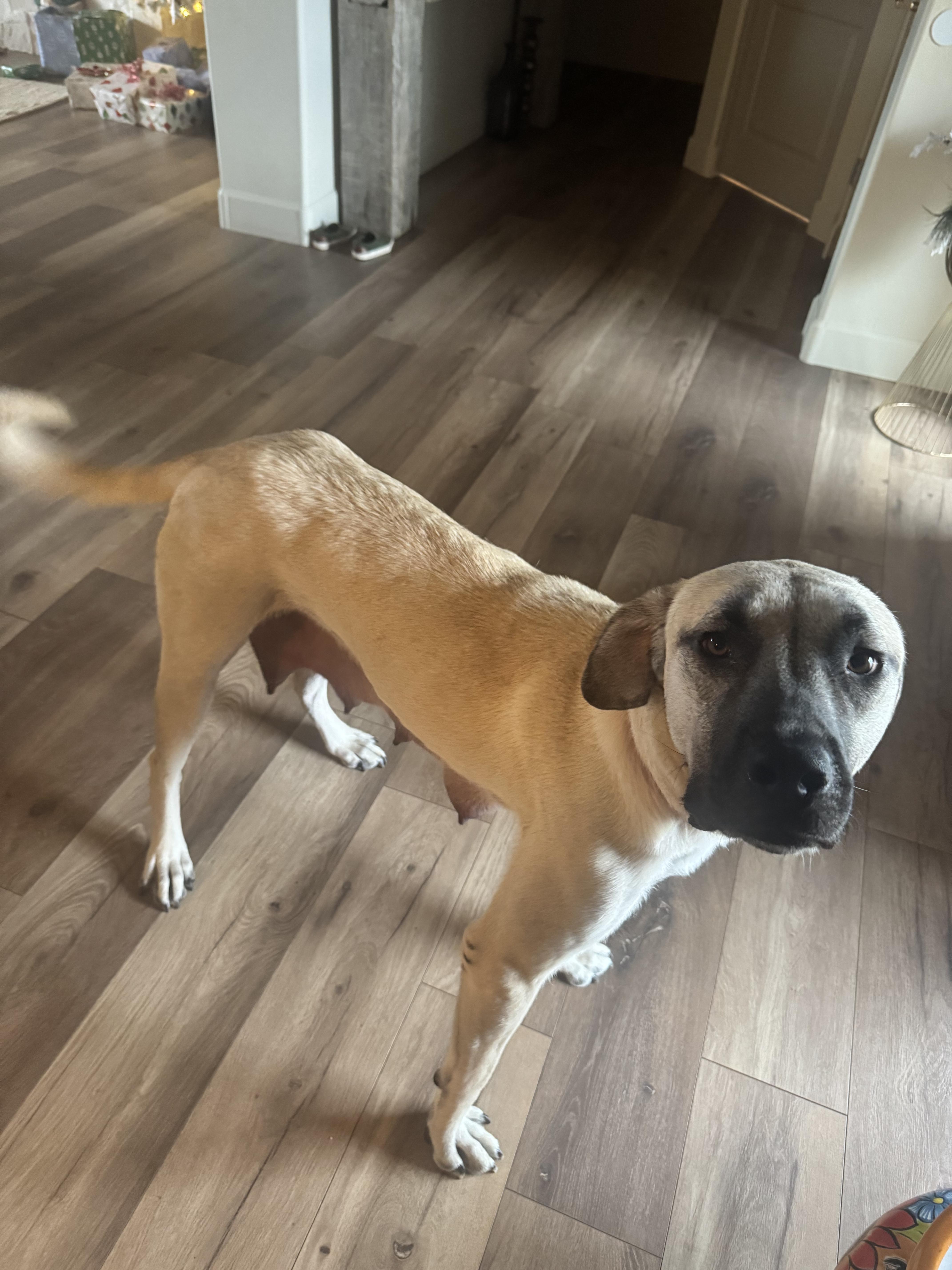 Penelope thumbnail 6