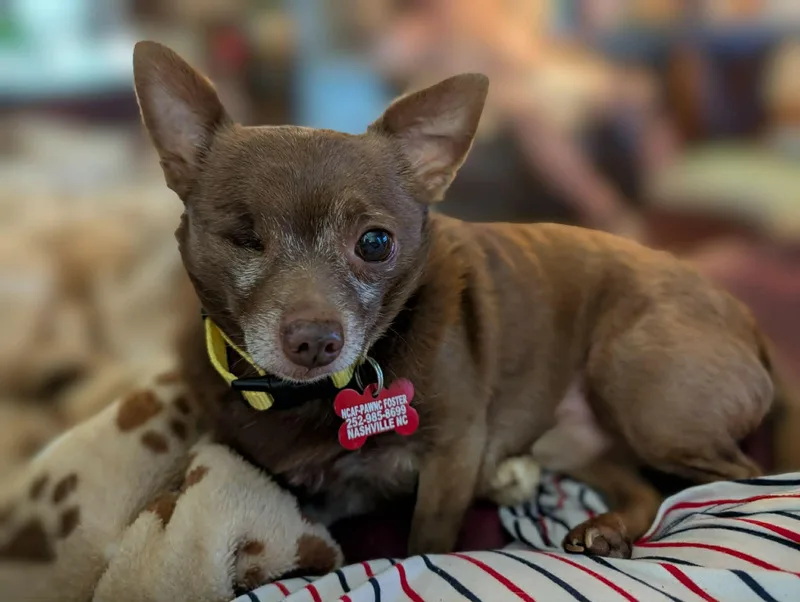 Buster thumbnail 2