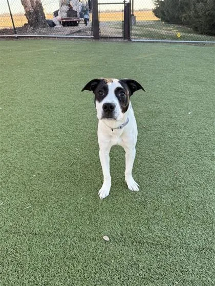 Lucas Sinclair thumbnail 2