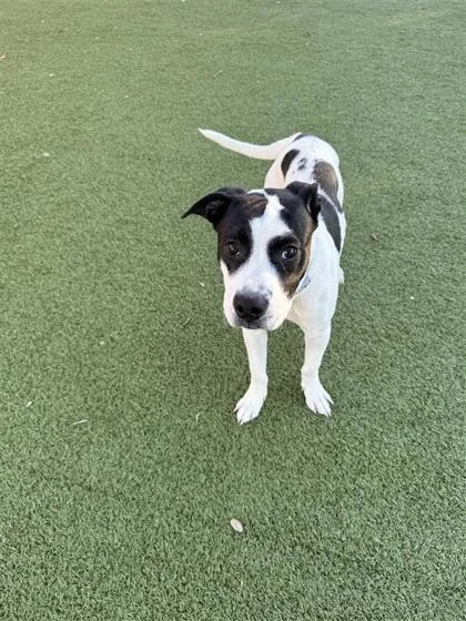 Lucas Sinclair thumbnail 3