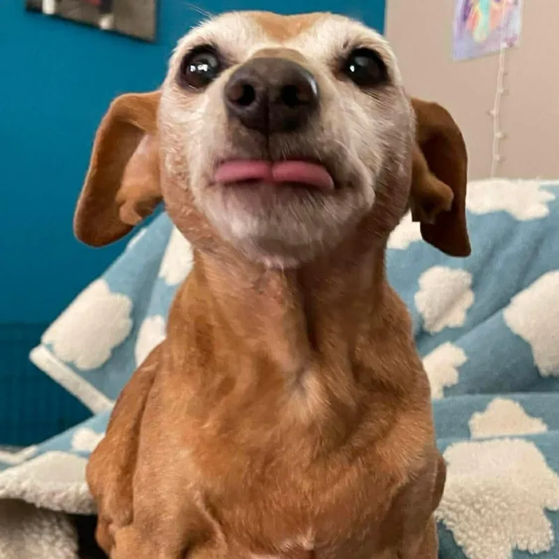 Hula Hoop thumbnail 3