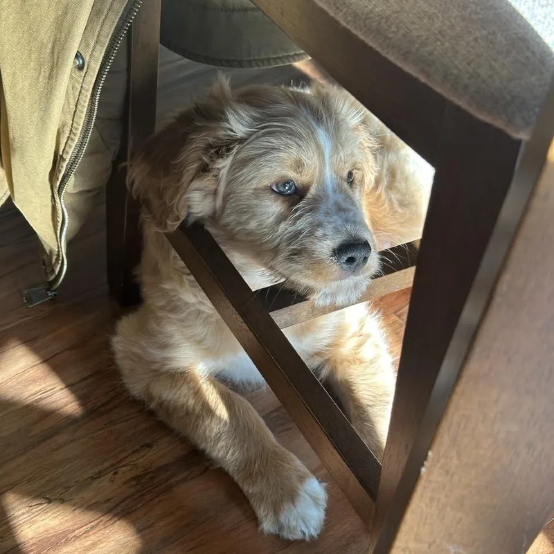 Walter Paul thumbnail 4