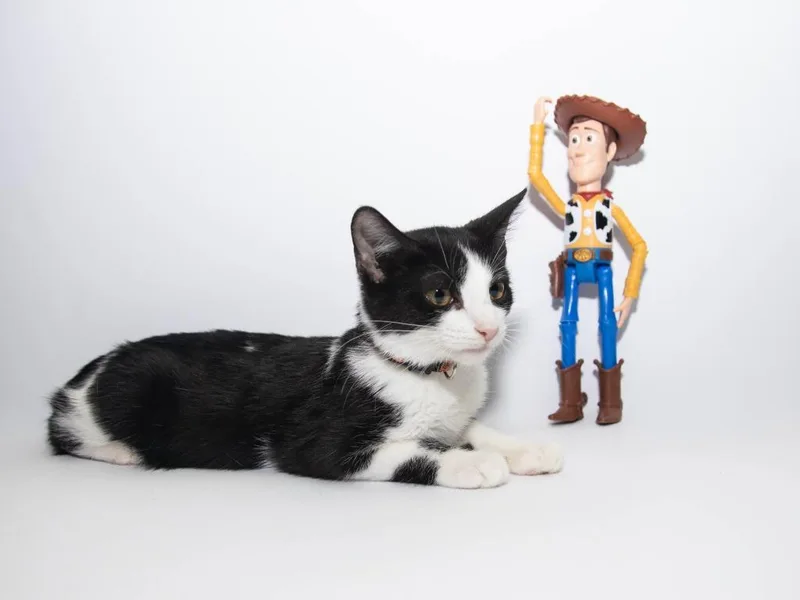 Woody