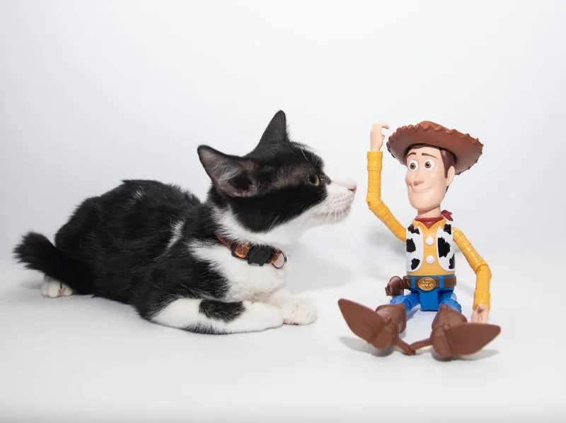 Woody thumbnail 2