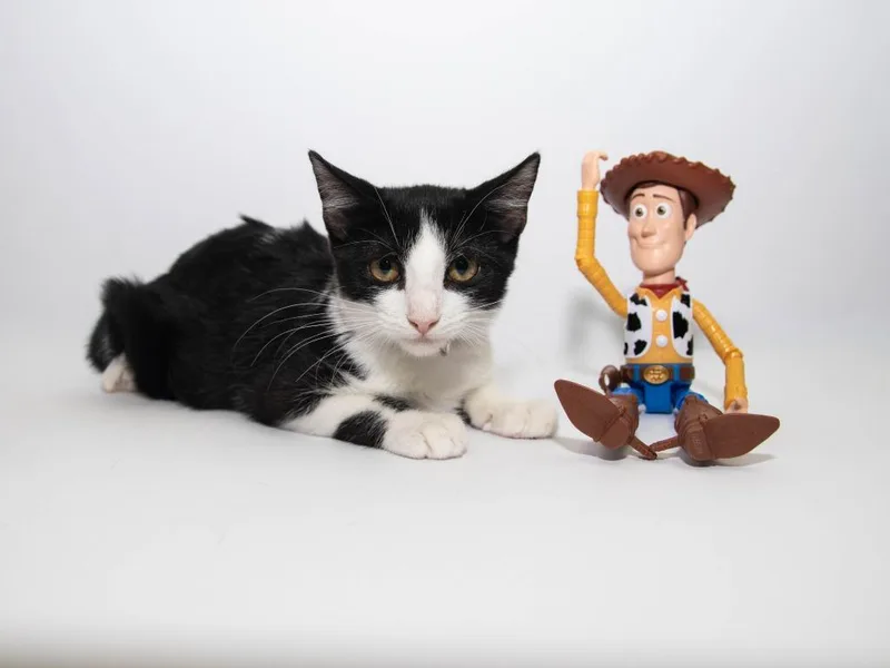 Woody thumbnail 3