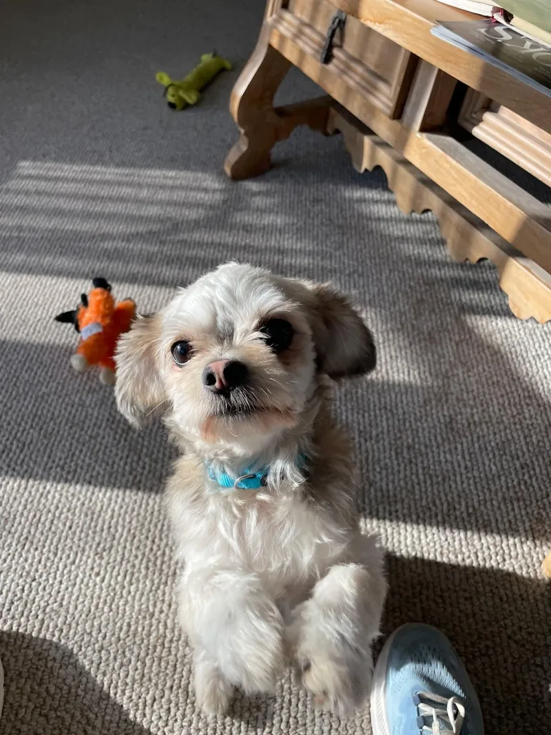 Sydney    thumbnail 4