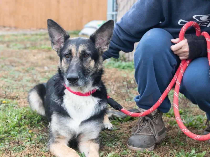 Integrity thumbnail 4