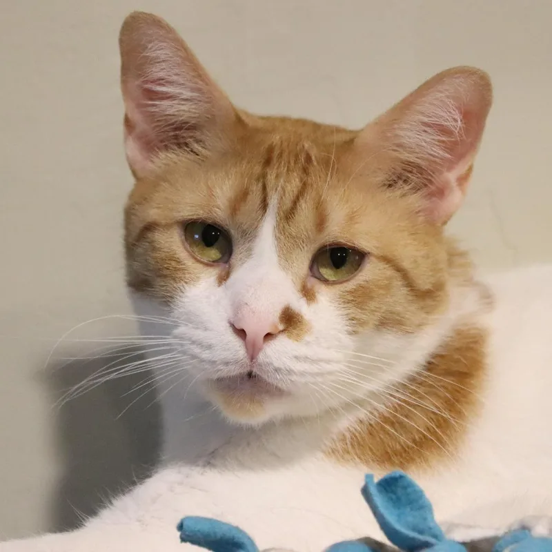 Jackie Chan thumbnail 5