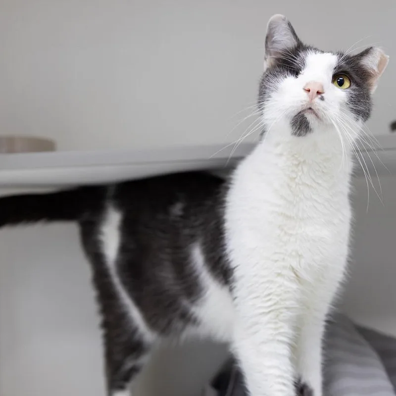 Whiplash thumbnail 3