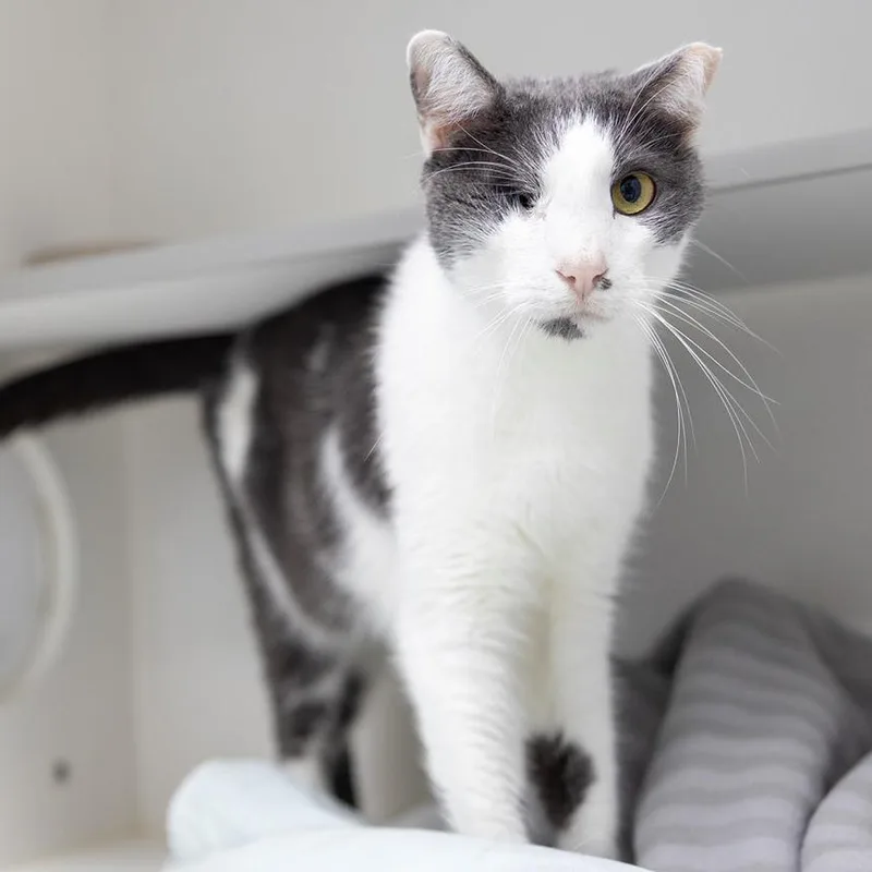 Whiplash thumbnail 5