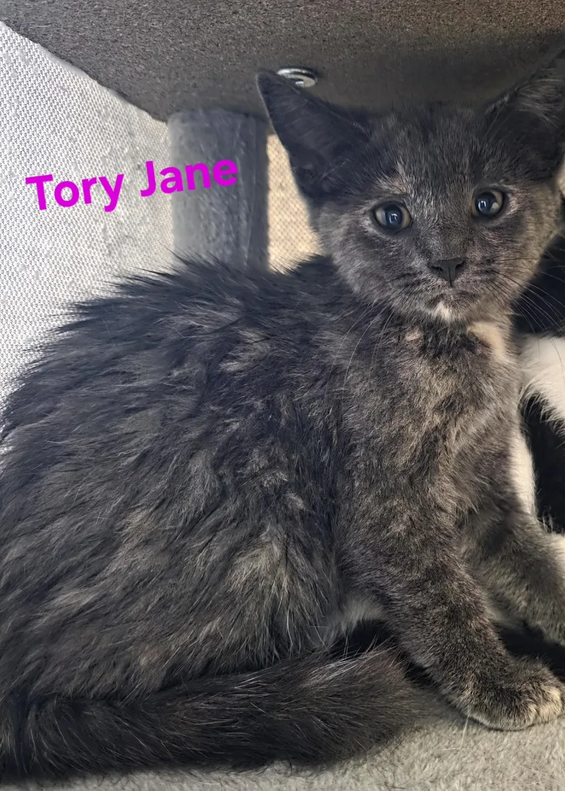 Tory Jane thumbnail 2