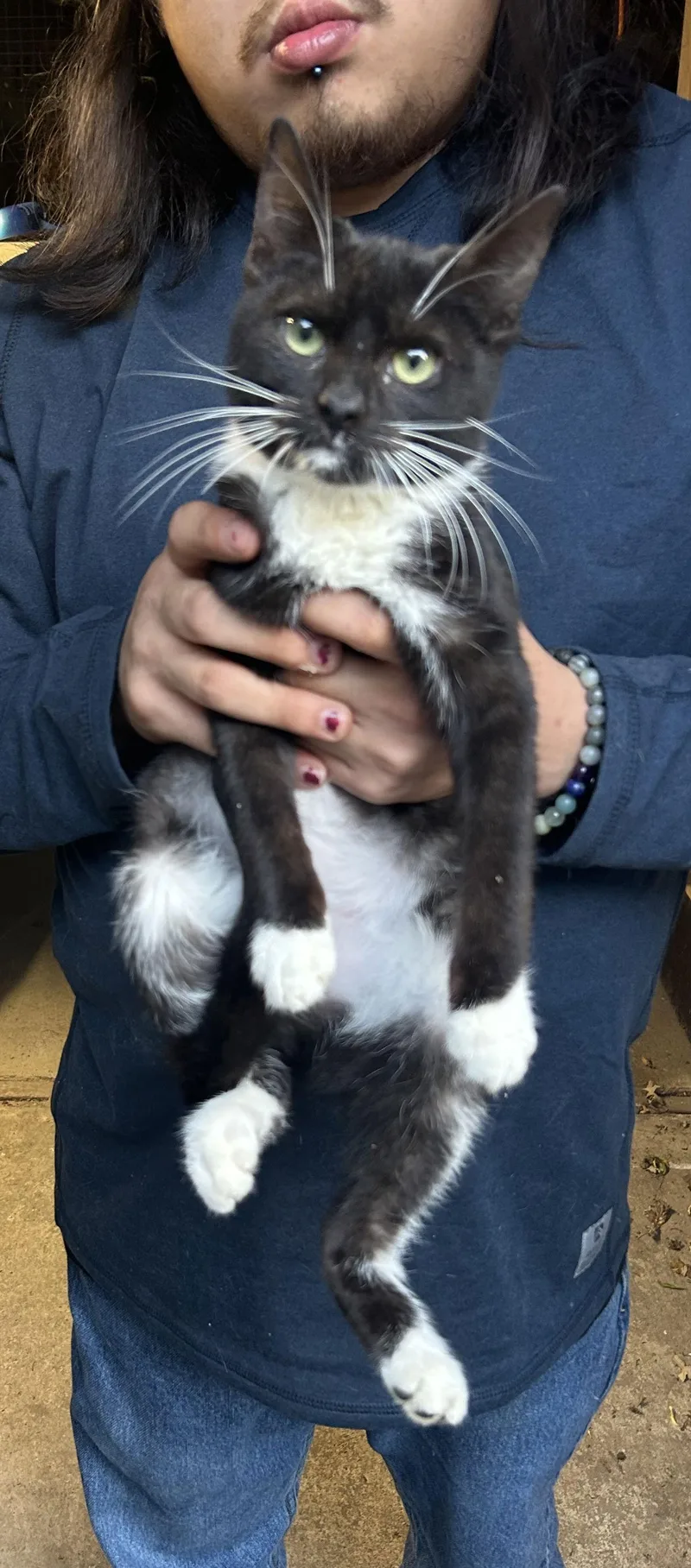 Ha'lia Napa Petco thumbnail 5