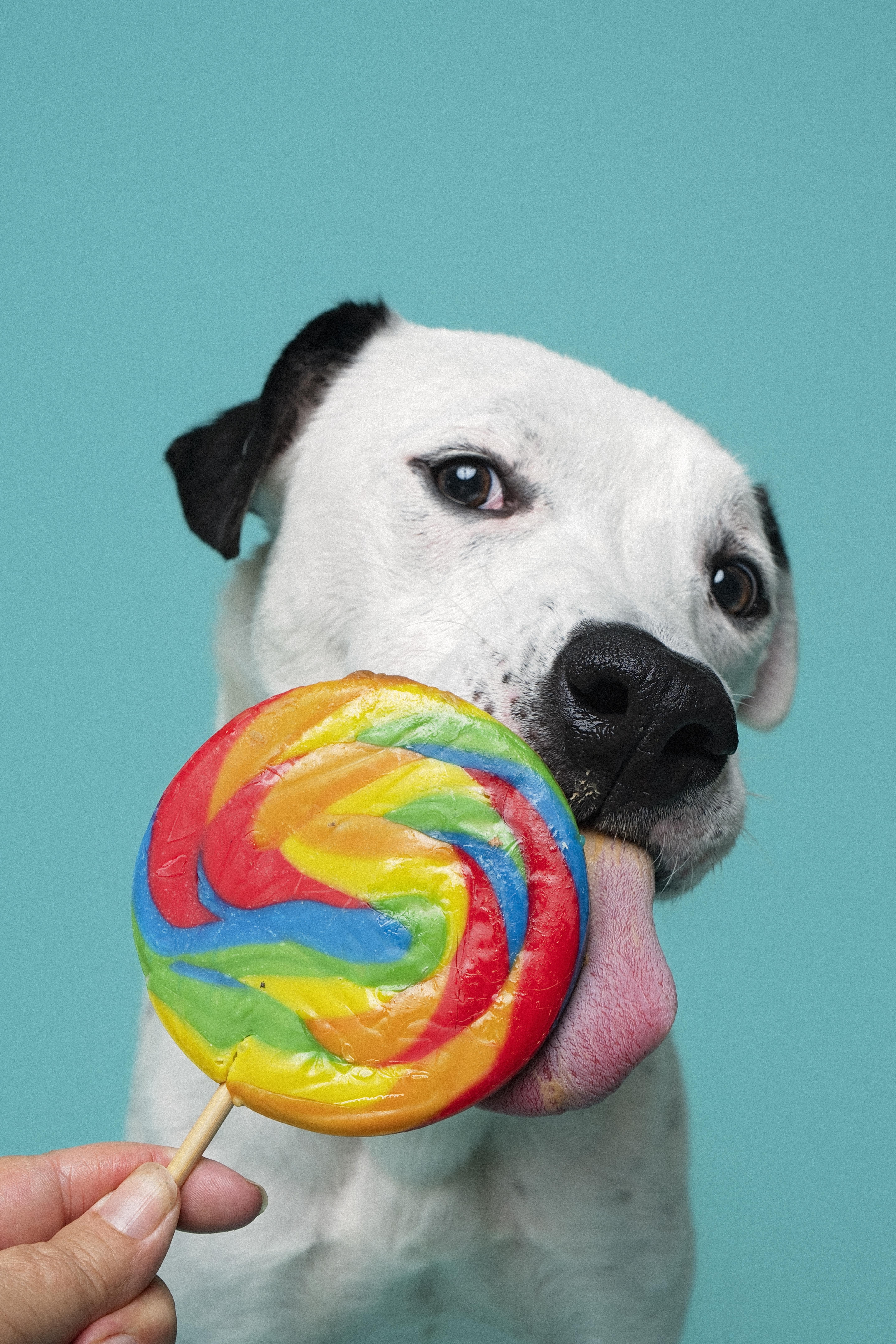 Otis thumbnail 3