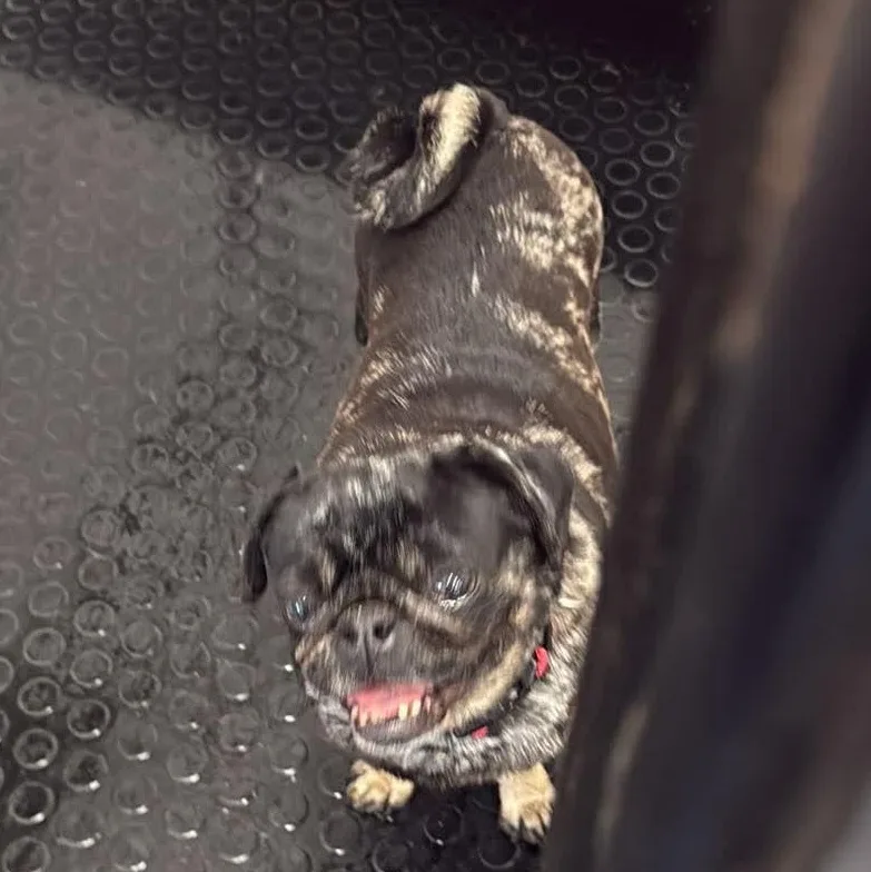 Kayle  Home Visit thumbnail 2