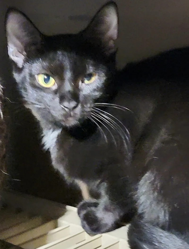 Charming Leslie thumbnail 2