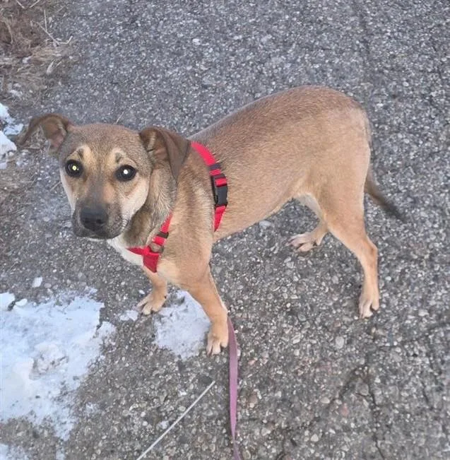 Roberta Courtesy Listing