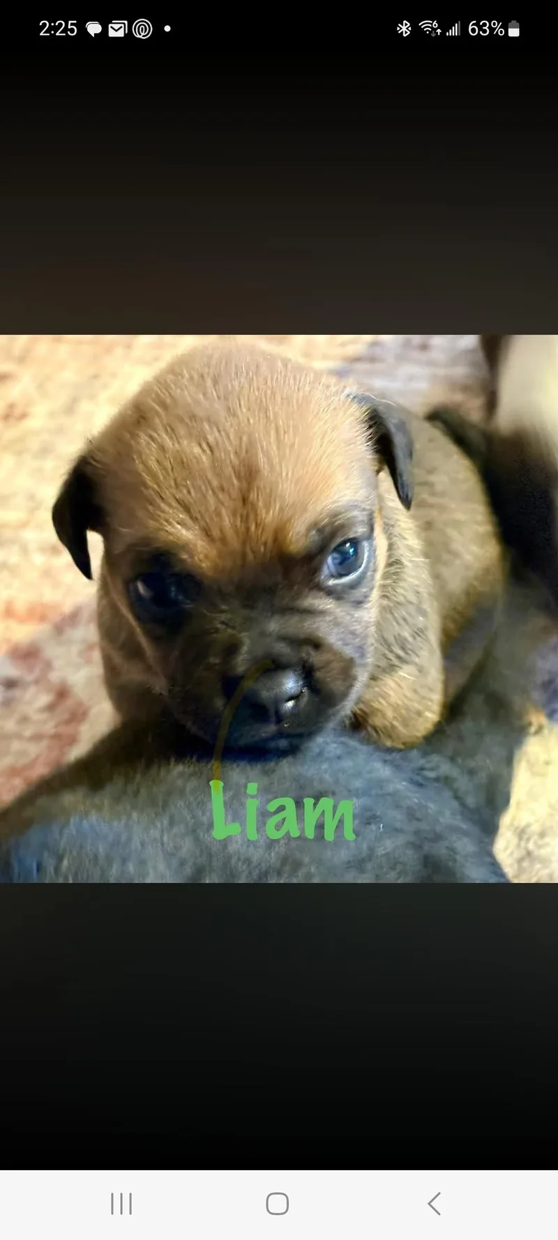 Liam thumbnail 2
